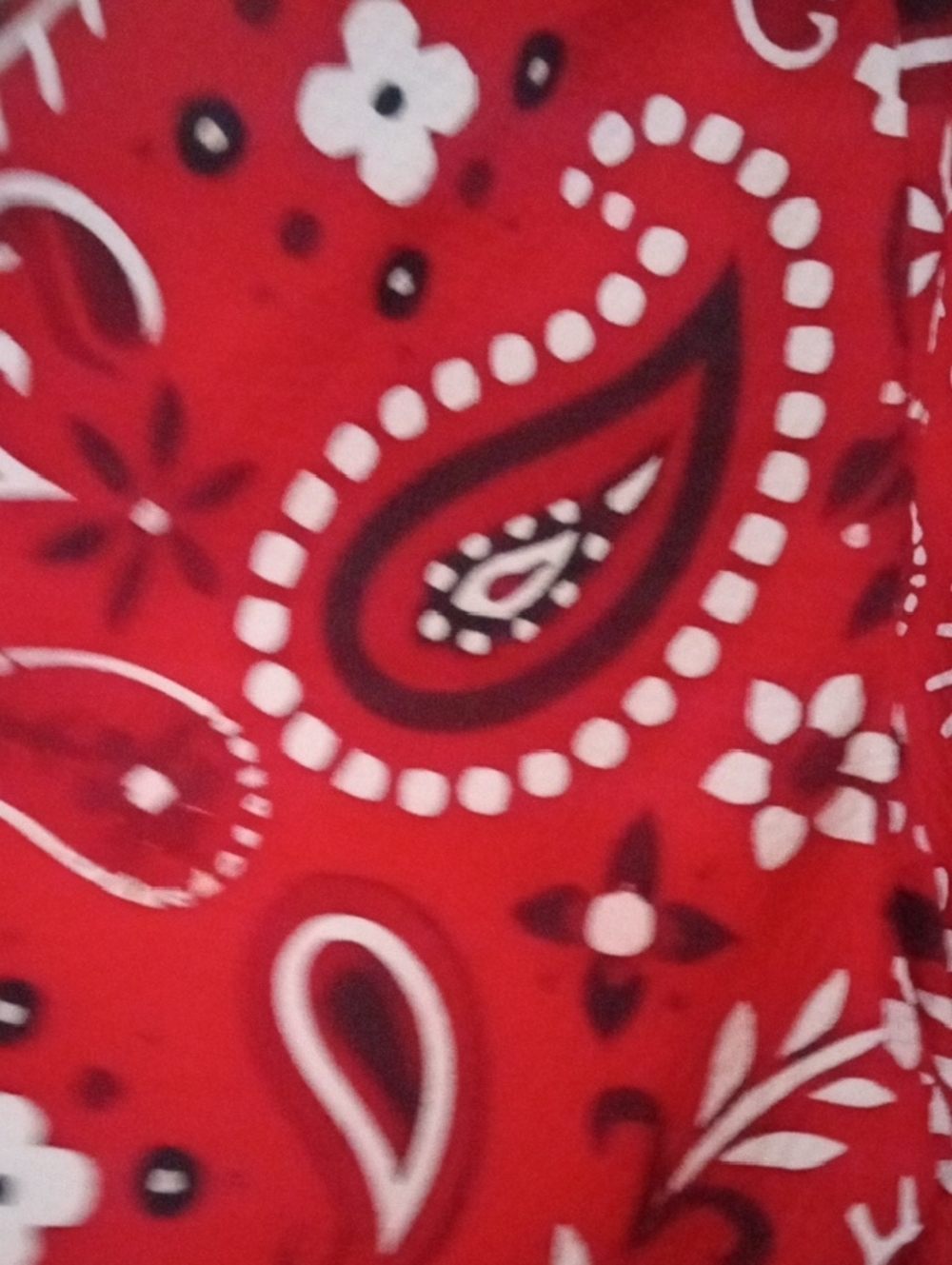Women’s Red Paisley V-Neck Tunic Top - Bell Sleeves - Picture 5 of 13
